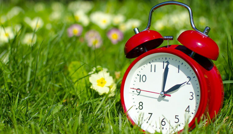 daylight savings time